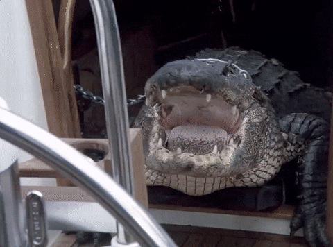 Miami Vice Ricardo Tubbs Shocked At Gator GIF