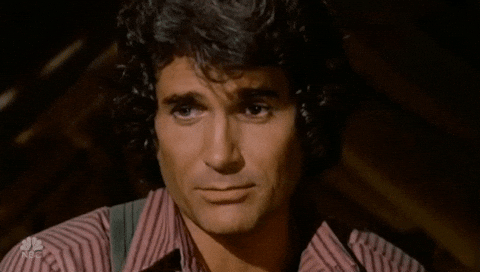 Michael Landon Nepotism GIF