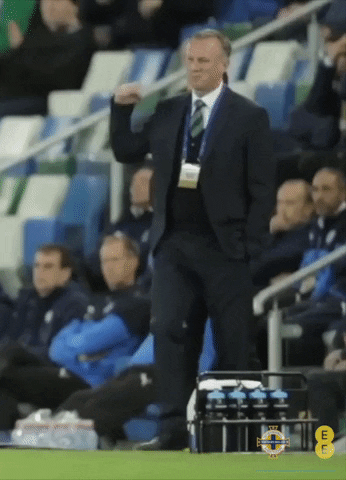 Michael O Neill Shake Fist GIF