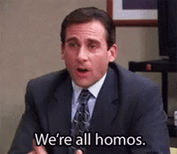 Michael Scott Gay Meme GIF