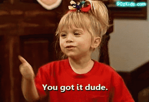 Michelle Tanner You Got It Gif GIF