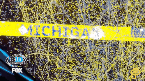 Michigan Banner