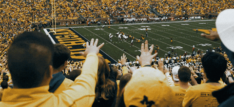 Michigan Football Fans Cheering GIF