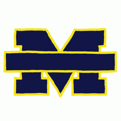 Michigan Football Go Blue Go Vote GIF