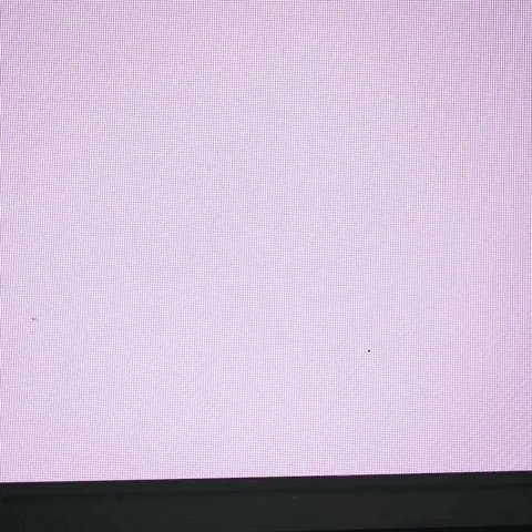 Michigan State Player Just Saying Hi GIF