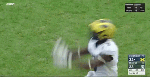 Michigan Wolverines Backflip GIF