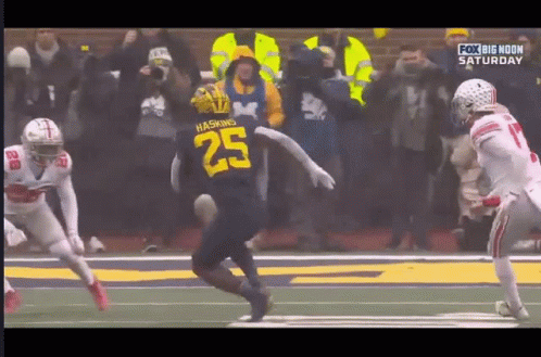 Michigan Wolverines Chaotic Game GIF