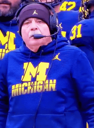 Michigan Wolverines Disappointed Coach GIF