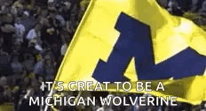 Michigan Wolverines Flag Raised GIF