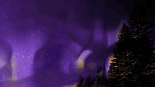 Michigan Wolverines Jj Mccarthy GIF