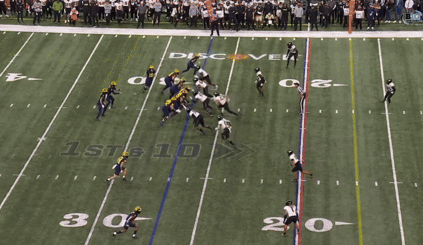 Michigan Wolverines Messy Play GIF