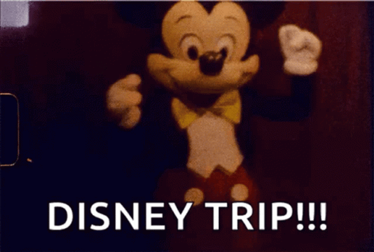 Mickey Disney Trip GIF