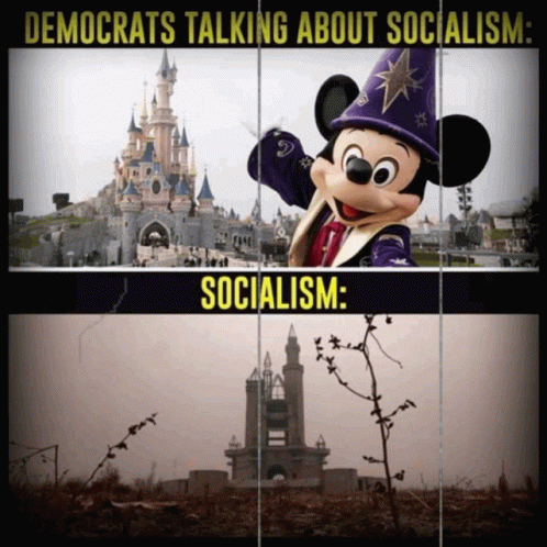 Mickey Mouse And Castle Democrats Talking About Socialism GIF