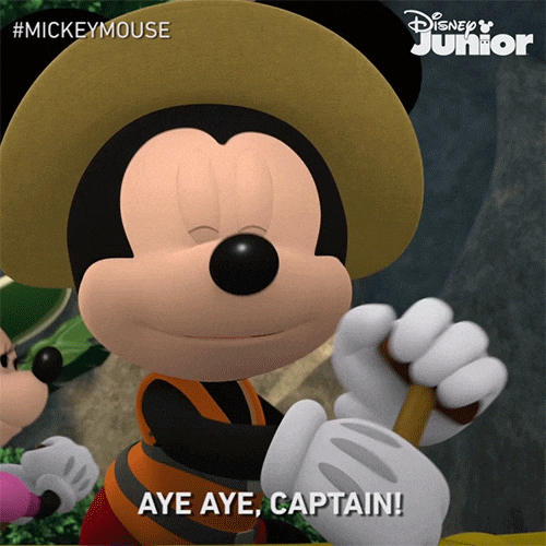 Mickey Mouse Aye Aye Captain GIF