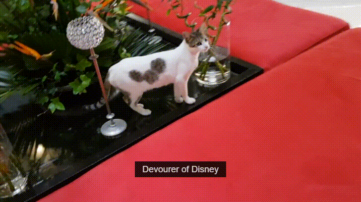 Mickey Mouse Cat Symbol GIF