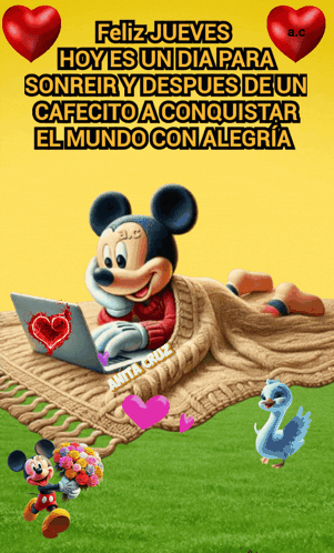 Mickey Mouse Laying on Blanket with Laptop