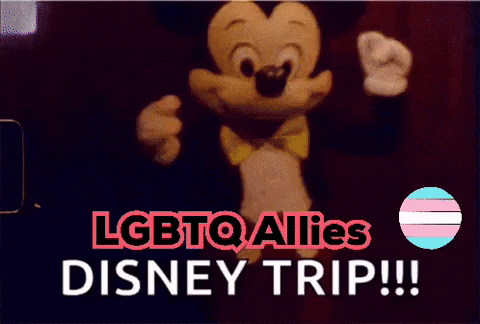 Mickey Mouse With LGBTQ Allies Disney Trip