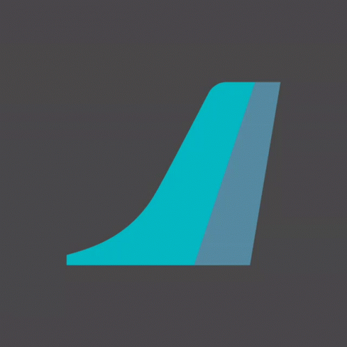 Microsoft Flight Simulator 2020 Flybywire GIF