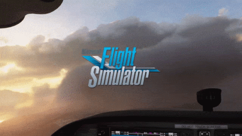 Microsoft Flight Simulator 2020 Video Game GIF