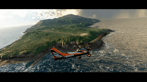 Microsoft Flight Simulator Aesthetic View GIF