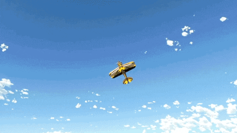 Microsoft Flight Simulator Backflip Slow Motion GIF