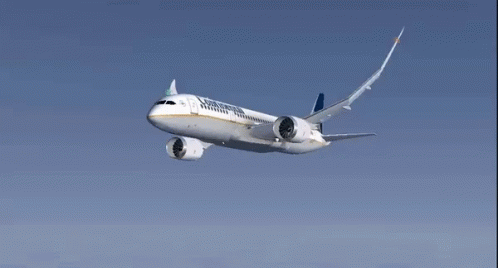 Microsoft Flight Simulator Plane Glitch GIF