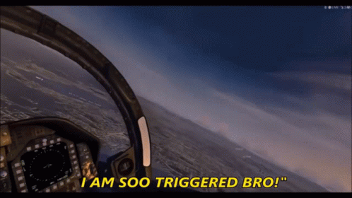 Microsoft Flight Simulator Steam Triggered GIF