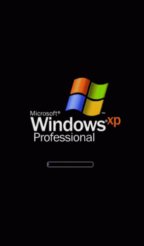 Microsoft Windows XP Professional Loading Screen GIF