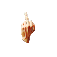 Middle Finger Flip Off Sticker GIF