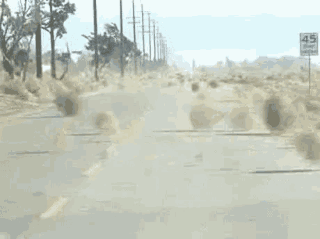 Middle Of Nowhere Gif GIF