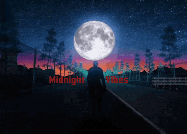 Midnight Vibes Night Walk Gif GIF