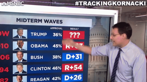Midterm Waves Survey GIF