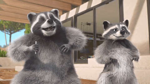 Mighty Mike Raccoon Whisper GIF