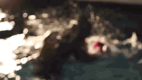 Miguel Cotto Water Boxing GIF