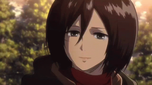 Mikasa Ackerman Smiling GIF
