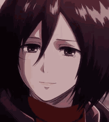 Mikasa Ackerman Smiling Softly GIF