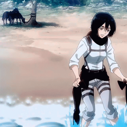 Mikasa At The Beach GIF