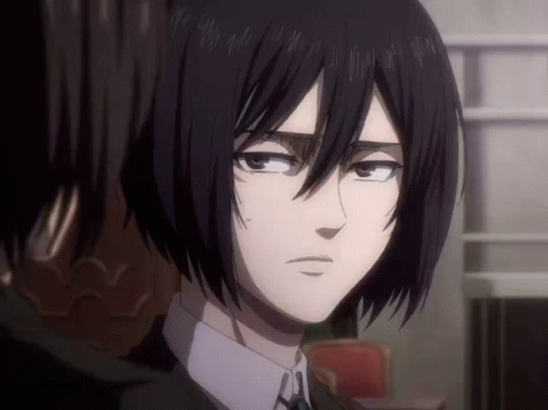 Mikasa Death Stare GIF