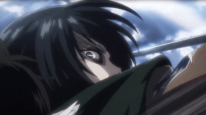 Mikasa Fighting Group Of Men GIF
