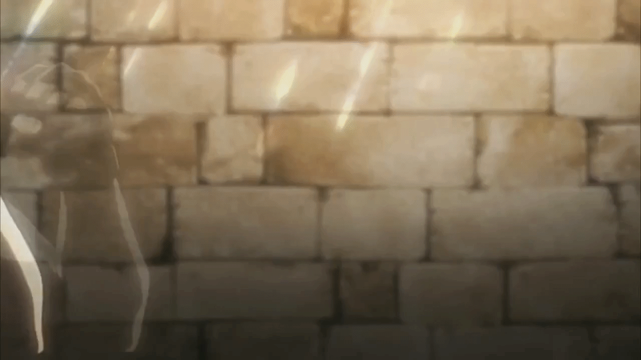 Mikasa Fist Fight GIF