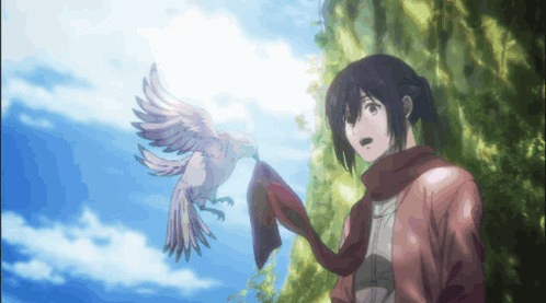 mikasa-with-pigeon-bird-jxzpl8sv45zh1gna.gif