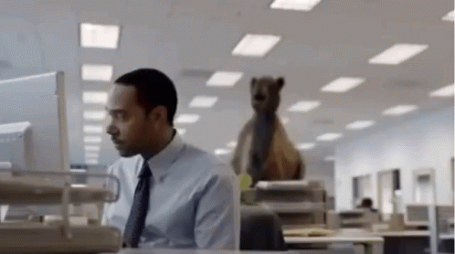 Mike Mike Camel What Day Is It Mike Lol GIF