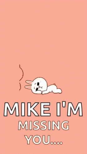 Mike Mike Mike I'm Missing You Cute Rabbit GIF
