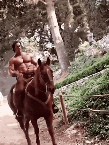 Mike O'hearn Horseback Ride GIF