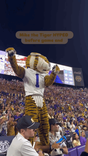 Mike the Tiger Hyped Before Game End With Mascot