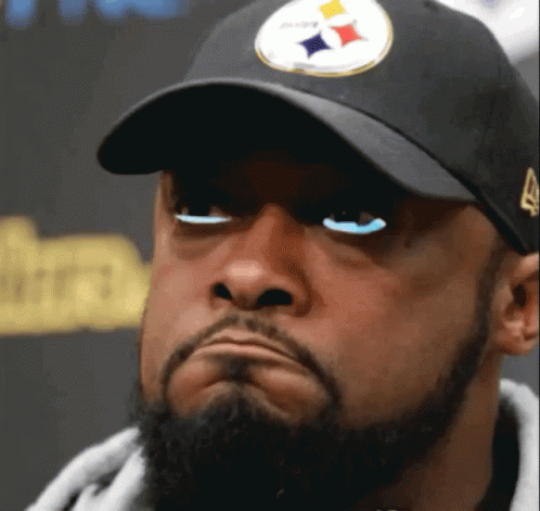 Mike Tomlin Talking to Referee