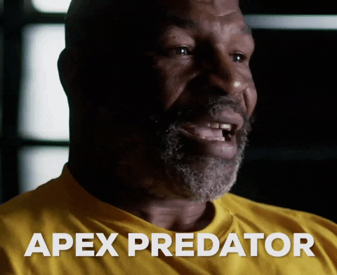 Mike Tyson Apex Predator Interview GIF