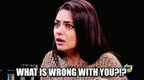 Mila Kunis Saying What Is Wrong With You GIF