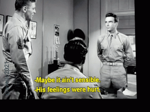 Military Man Says Maybe It Ain't Sensible GIF