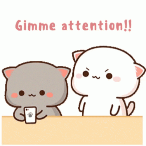 Milk Asking Mocha Attention GIF
